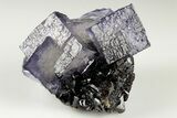 Purple Cubic Fluorite Crystals on Sphalerite - Elmwood Mine #191749-1